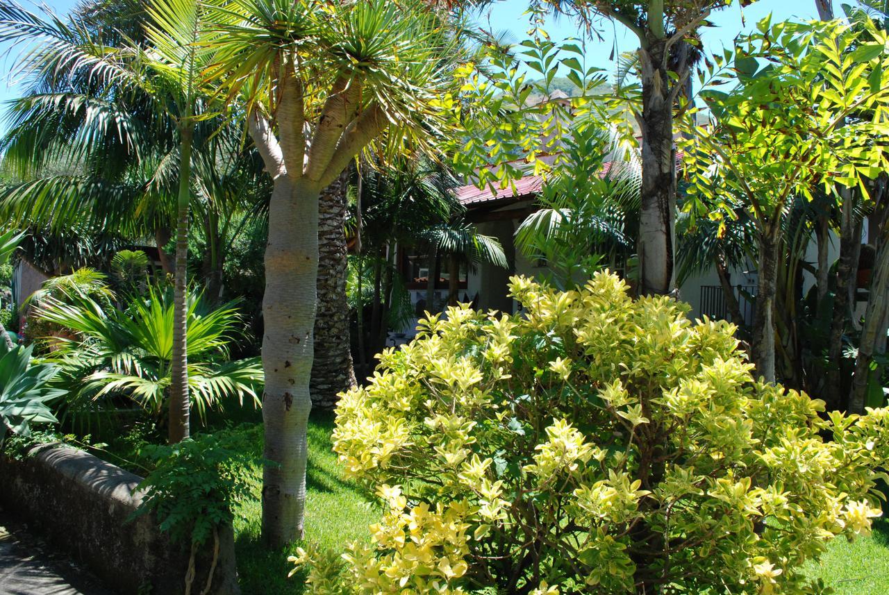Residence Villa Cristina Forio di Ischia Buitenkant foto